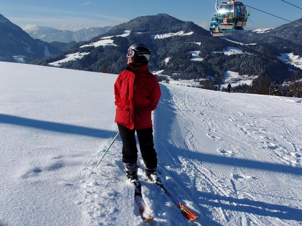 Ferienwohnungen Salvenmoser Johanna Scheffau am Wilden Kaiser Exteriér fotografie